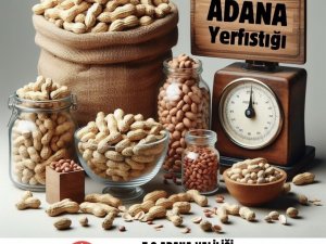 Adana yerfıstığı üretiminde Türkiye birincisi oldu
