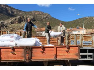 Elmalılı çiftçilere 366 çuval süt yemi desteği