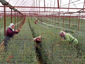 HEKİMOĞLU BELEDİYEYE İHRACAT YAPTIRACAK