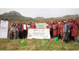 Yanan alana QNB Sigorta 10 bin fidanla orman kurdu