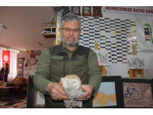 Yaralı bulunan peçeli baykuş, doğa koruma ekiplerine teslim edildi
