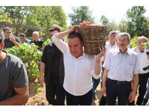 Başkan Böcek’ten tarımda istihdamı arttıracak projeler