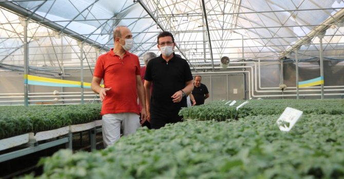 Atay Uslu’dan fide tesislerine ziyaret