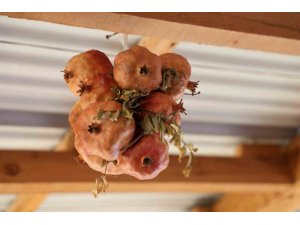 Kurutulan nar 4 mevsim tüketiliyor