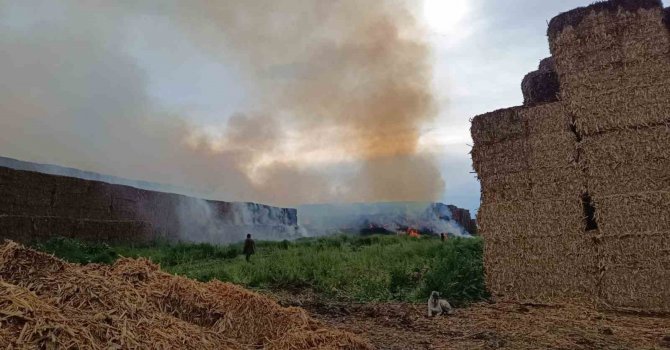 Adana’da saman balyalarının bulunduğu alanda yangın çıktı
