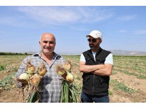 Sofrada göz yaşartan soğan tarlada üreticinin yüzünü güldürdü