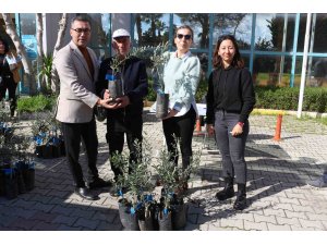 Antalya Büyükşehir Belediyesi’nden Serikli çiftçilere 700 zeytin fidanı