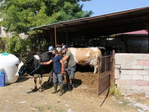 Büyükşehir Belediyesi besicinin yanında