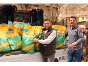Büyükşehir Belediyesi’nden silajlık mısır tohumu desteği
