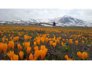 Eğrigöl tabii güzellikleriyle hayran bırakıyor