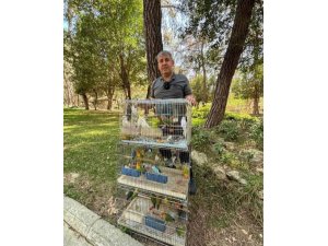 Antalya’da papağan operasyonu: 41 papağan ele geçirildi