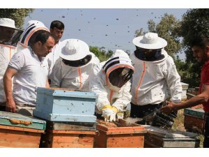 Mersin’de ’Narenciye Balı Hasat Şenliği’ düzenlendi