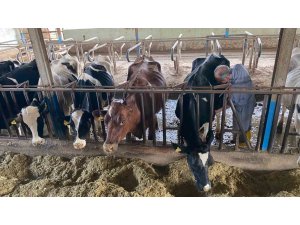 Akdeniz Üniversitesi, Antalyalıların gıda ihtiyaçlarını karşılayacak