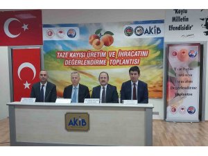 Mut’ta "Taze Kayısı Üretim ve İhracatını Değerlendirme Toplantısı" yapıldı