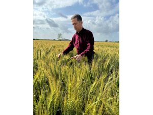 Doğan: "Çiftçiler hasat başlamadan taban fiyat ve prim desteğinin açıklanmasını bekliyor"