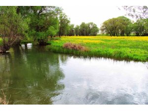 Kahramanmaraş’ta Mağaragözü Çayı görsel şölen sunuyor