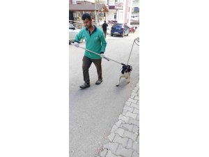 Hatay’da ‘kuduz hastalığı’ alarmı