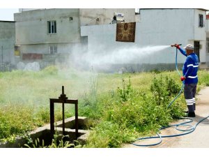 Büyükşehir; 450 personel, 100 araç ile haşereyle mücadele ediyor