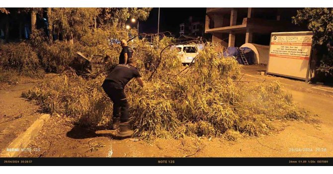 Defne’de devrilen ağaç ekipler tarafından kaldırıldı