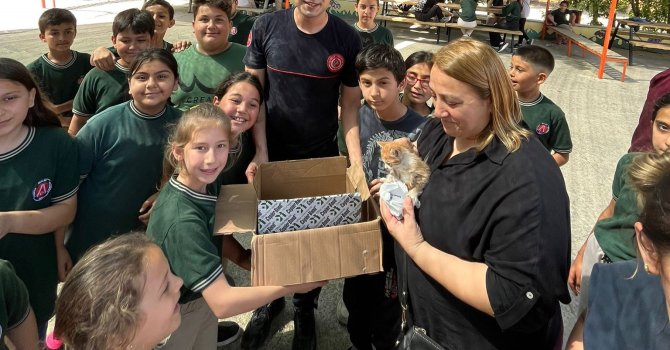 Çatıda mahsur kalan yavru kediler kurtarıldı