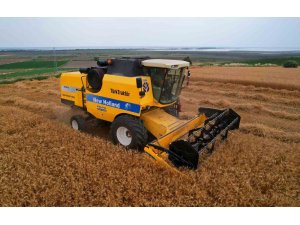 Adana’da buğday hasadı başladı, verim yüzleri güldürdü