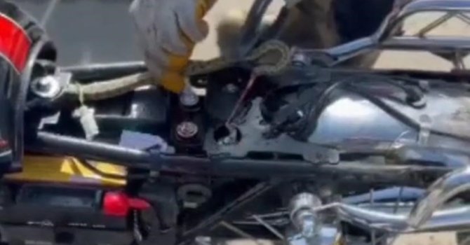 Motosiklete giren yılan, ekipler tarafından çıkarıldı