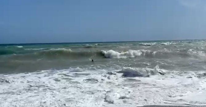 Denizde mahsur kaldı, hayatını dev dalgalar kurtardı