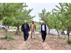 Mersin’de ’organik tarım’ projesi ile ürünlerin verimi artıyor