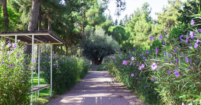 DokumaPark, her mevsim güzel