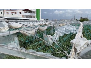 Mersin’de şiddetli fırtına seralara zarar verdi