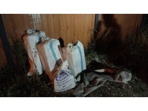 Antakya’da 221 karton kaçak sigara ele geçirildi