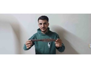 Mantar aramaya giden genç tarihi mızrak ucu buldu