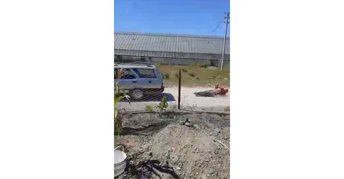 Köpeğine zarar veren adamı otomobile bağlayıp 150 metre sürükledi