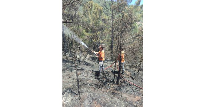 Gazipaşa’da çıkan orman yangınında 1 dönüm alan zarar gördü
