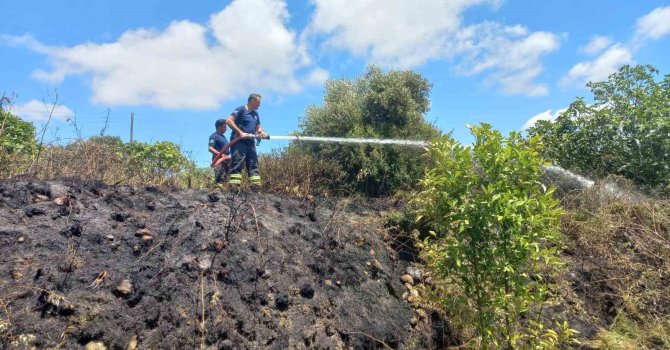 Samandağ’dan çıkan bahçe yangını söndürüldü