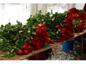 Anneler Günü öncesi gül fiyatları dibi gördü: Tanesi 3 lira