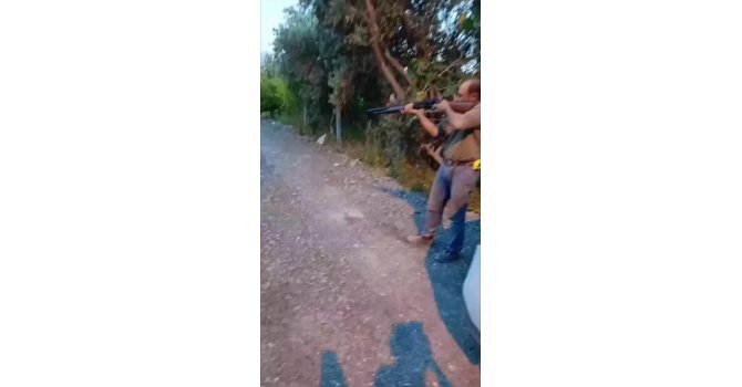 Sahipsiz köpeği tüfekle öldüren şahıs yakalandı, o anlar kamerada