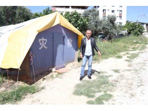 ‘Benden korkmuyorlar, alıştılar” diyen vatandaş, aç kalan domuzları köpek maması ve yemek artıklarıyla besliyor