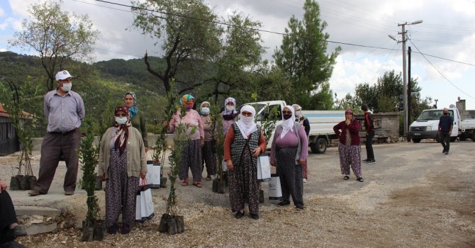 Büyükşehir Belediyesi’nin tarıma desteği sürüyor