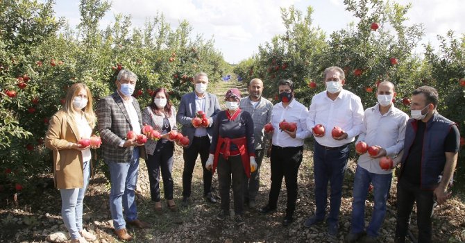CHP'den Nar hasadına anlamlı destek