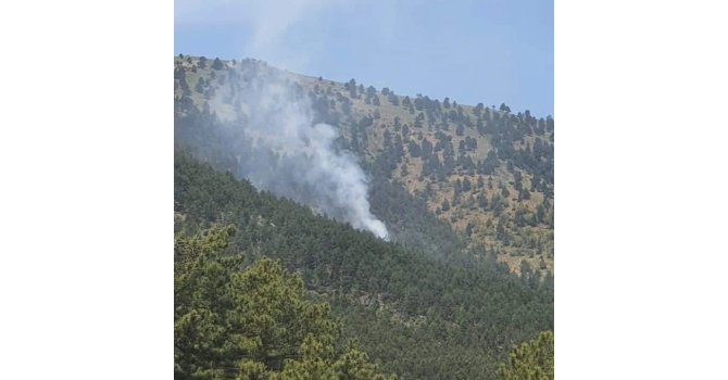 Saimbeyli’de çıkan orman yangını kontrol altIna alındı