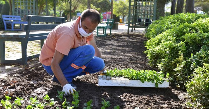 600 bin mevsimlik çiçek