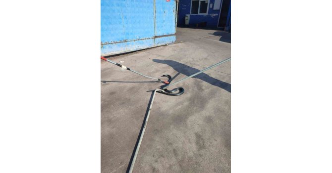 İşyerine giren yılan, doğal yaşam alanına bırakıldı