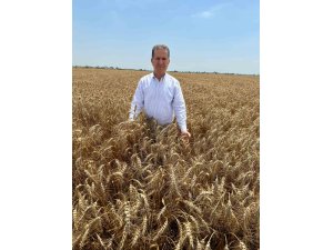 Doğan: “Çiftçilerimiz, bu yıl da buğday fiyatlarının açıklanmasını bekliyor”