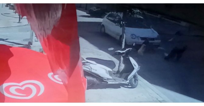 Anne ve 2 çocuğu ölümden döndü