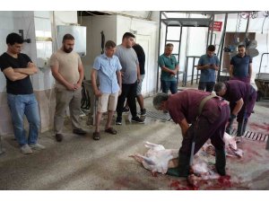 Antalya’da Kurban Bayramı öncesi usta kurban kesimciliği eğitimi