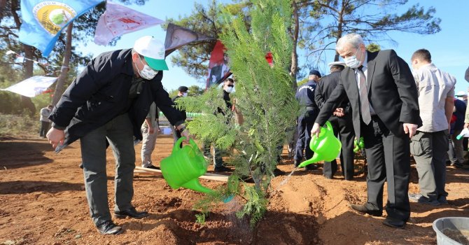 Kepez’de fidanlar toprakla buluştu