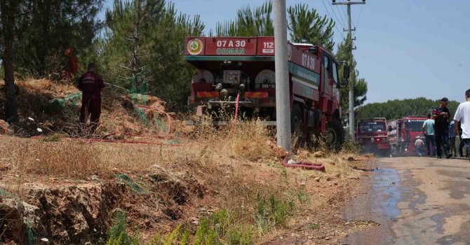 Antalya’da çıkan orman yangını ekipler ve vatandaş işbirliğiyle söndürüldü
