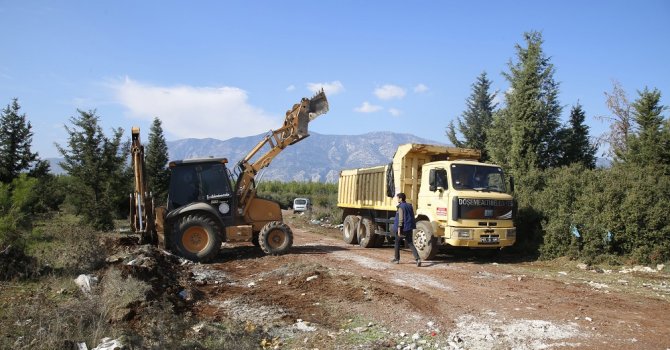 Ormanda temizlik operasyonu