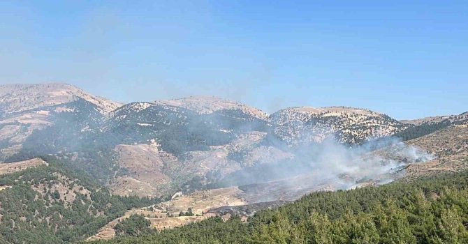 Kahramanmaraş’ta orman yangını: Ekipler müdahale ediyor